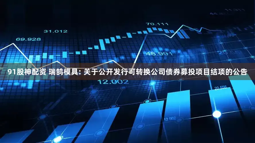 91股神配资 瑞鹄模具: 关于公开发行可转换公司债券募投项目结项的公告